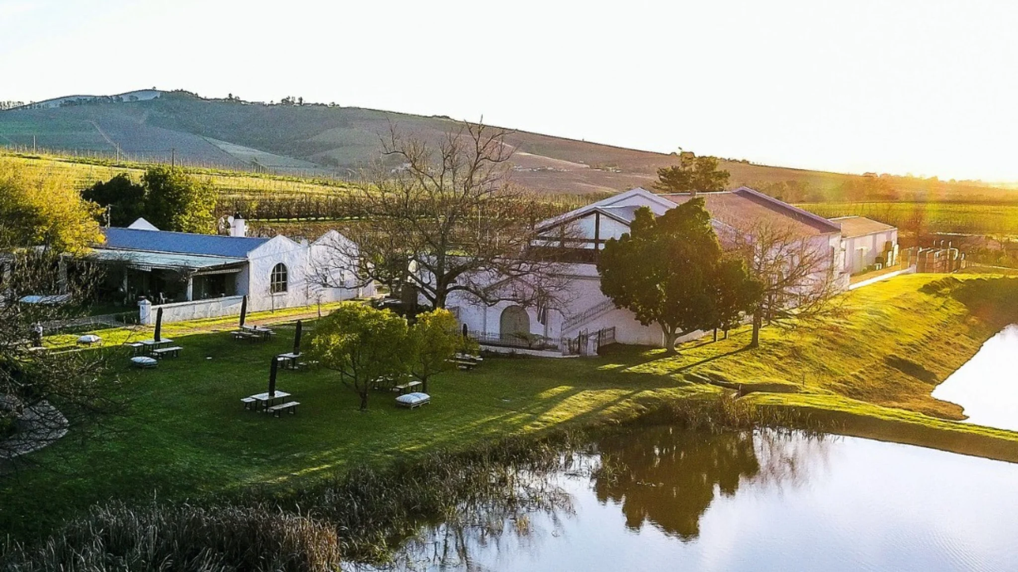 #wineestateoftheweek: The Enchanting L’Avenir Wine Experience