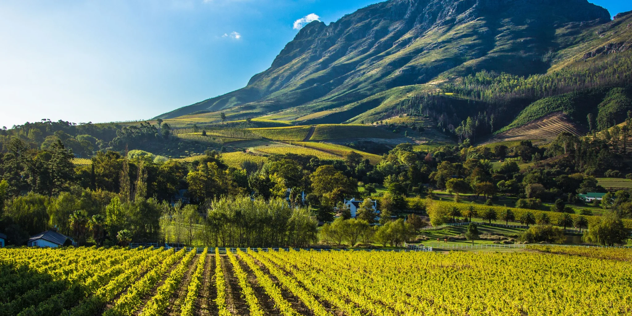 A Comprehensive Guide to Stellenbosch