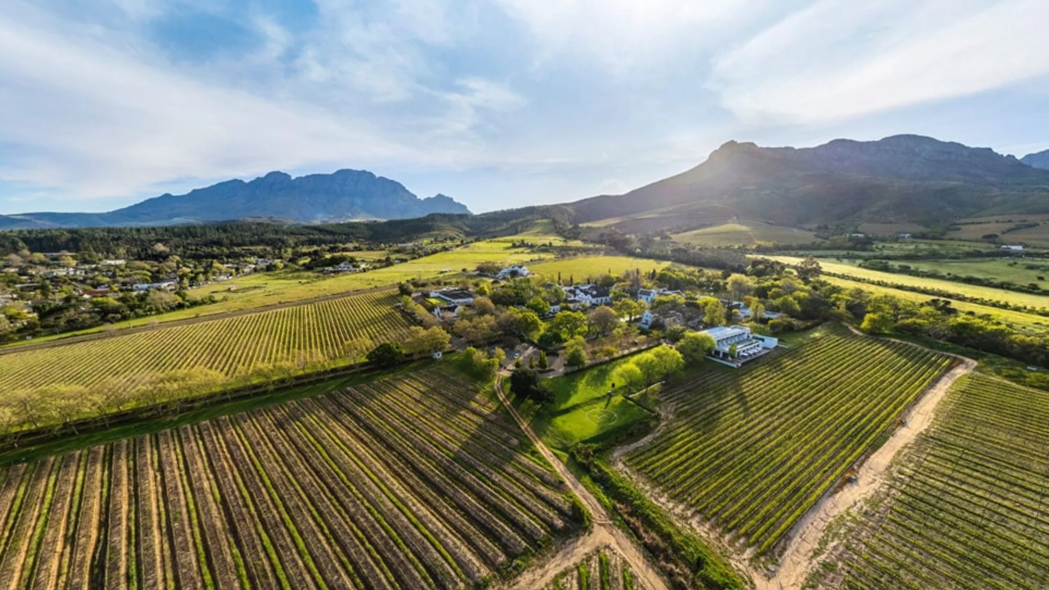 Pinotage Wine Tour Guide