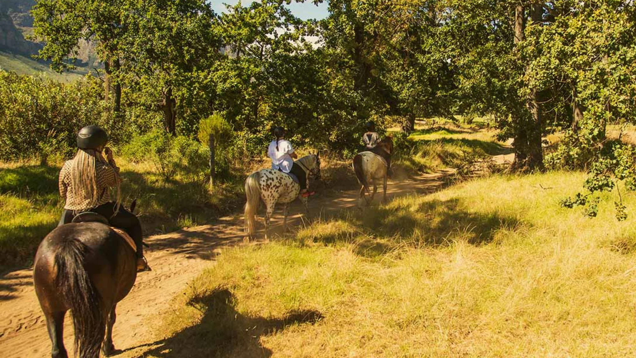 Horse riding at Boschendal Estate
