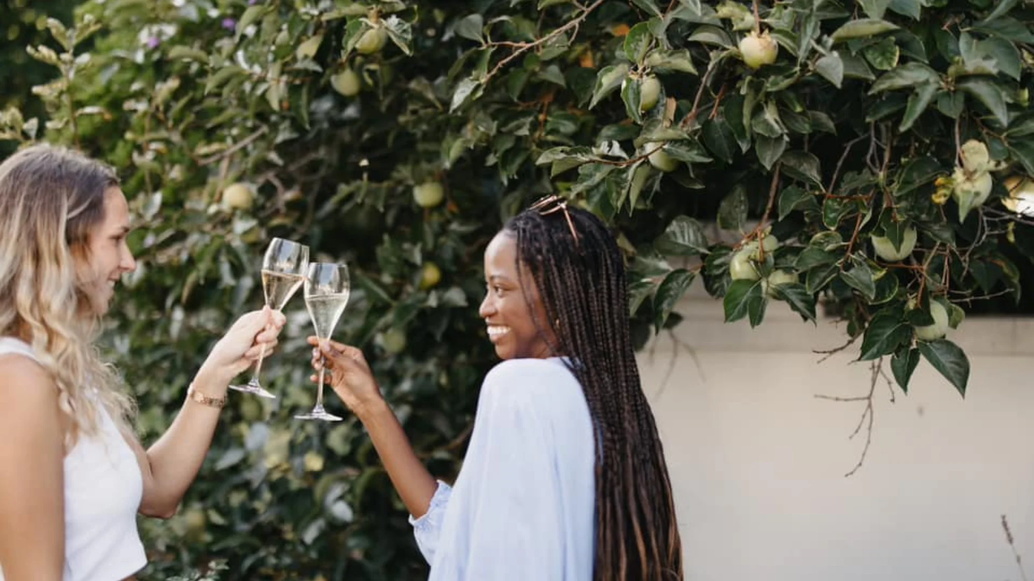 Capitec Franschhoek Cap Classique - Anthonij Rupert