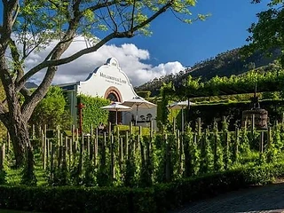 Mullineux & Leeu Family Wines — Franschhoek wine estate