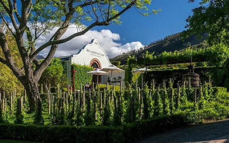Mullineux & Leeu Family Wines