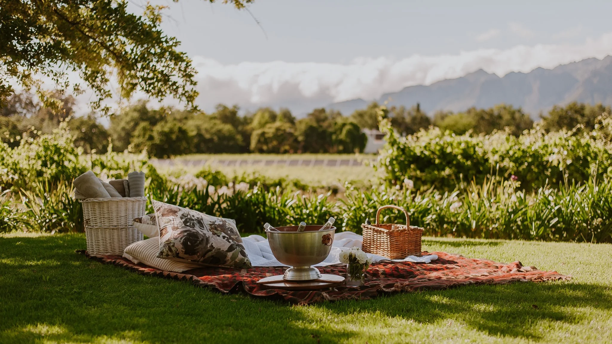 What to Do in the Winelands