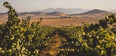 AA Badenhorst Family Wines conference venue