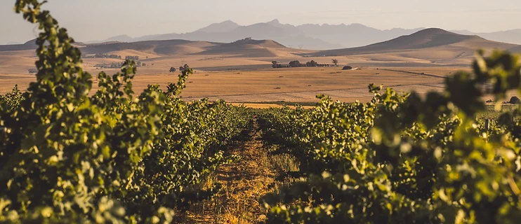 AA Badenhorst Family Wines conference venue in Swartland