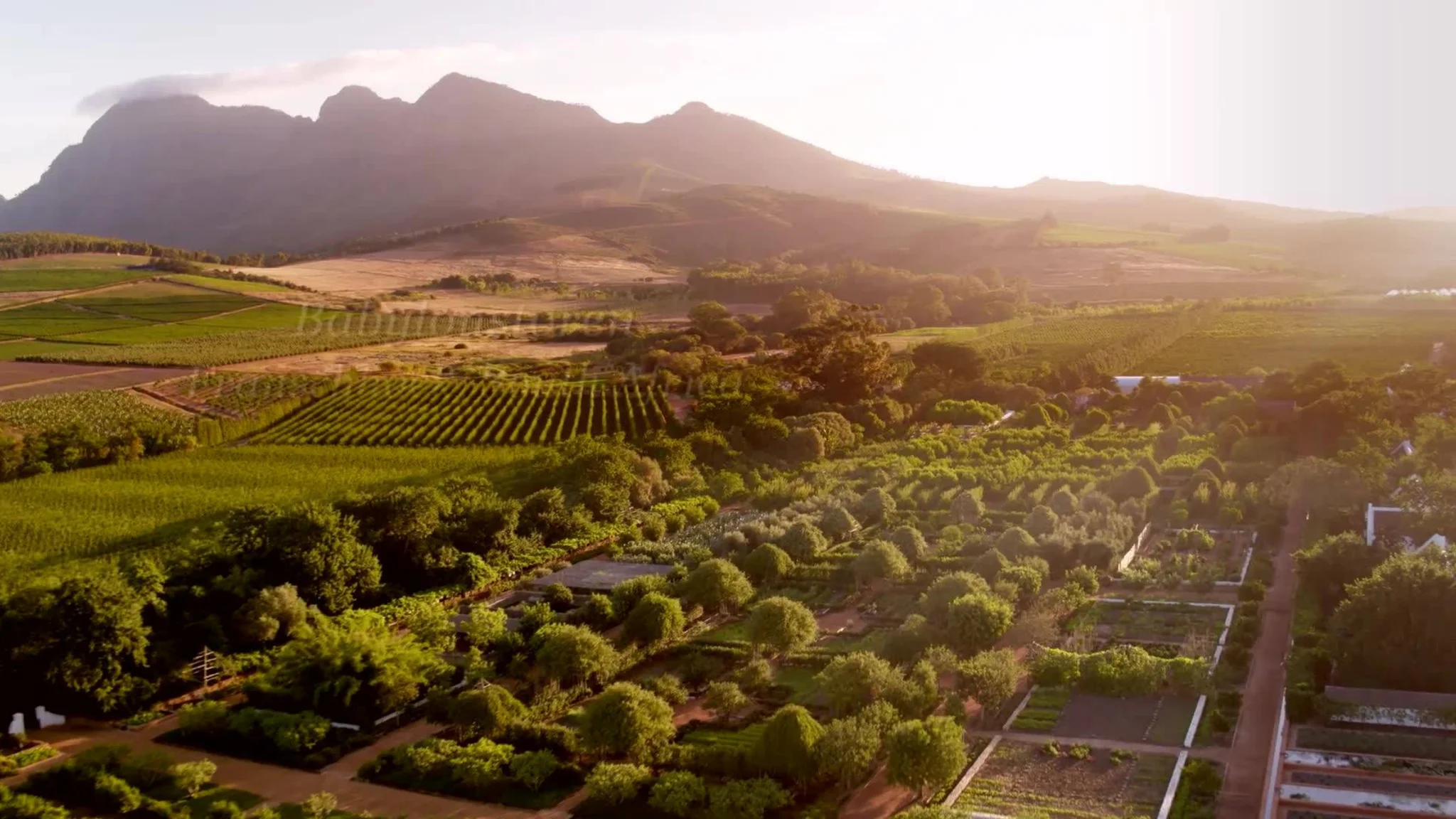 A Beginner’s Guide to Wine Tasting in the Cape Winelands