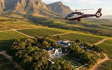 Simonsberg Trio: Terrassen-Lunch auf Delheim