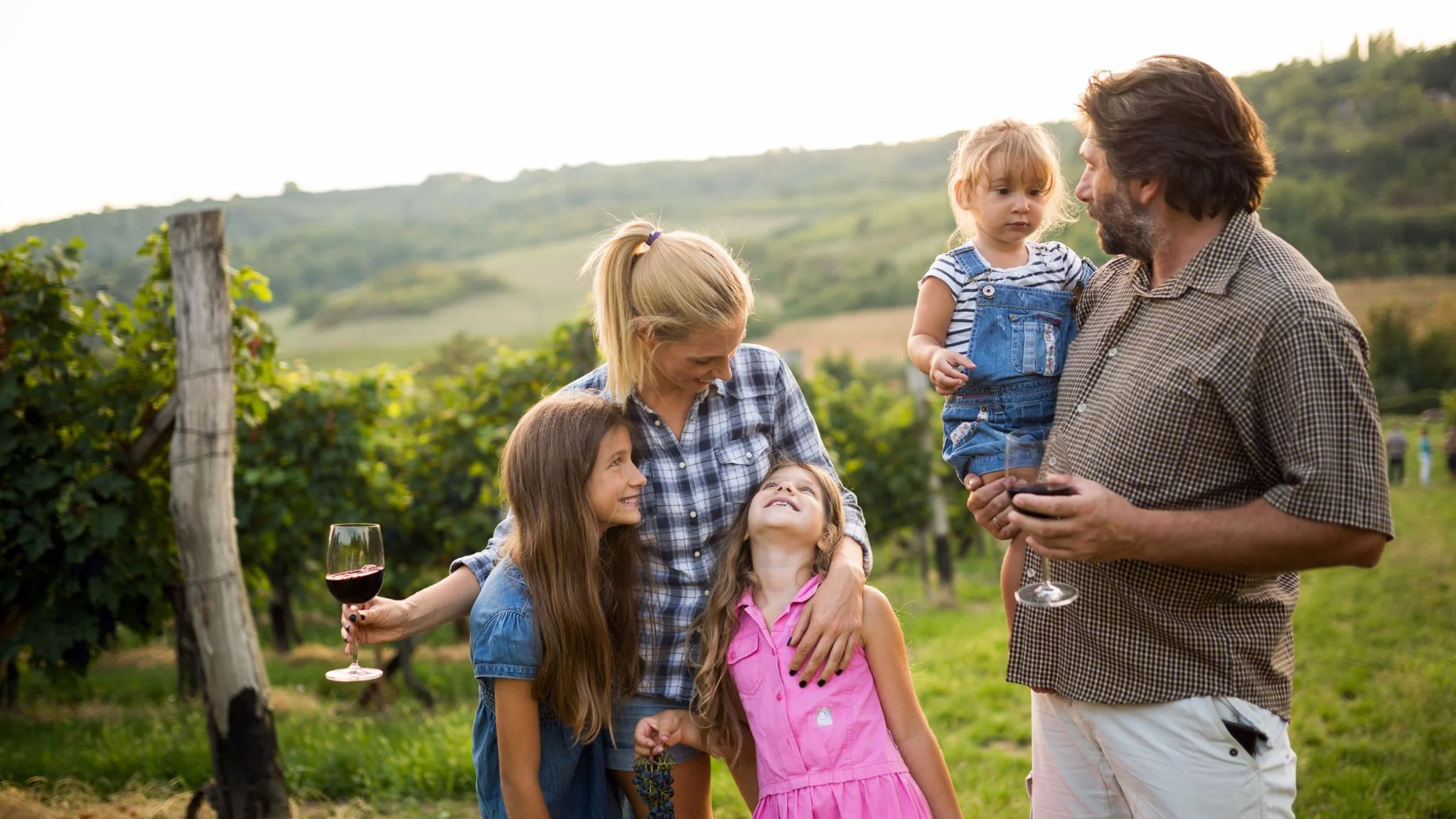 A Guide to Kid-Friendly Wine Estates in the Cape