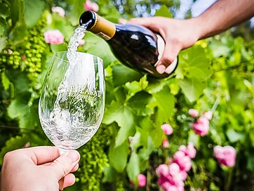 Mellasat Vineyards – Unterkunft in Paarl