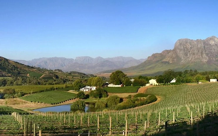 Villiera Wines