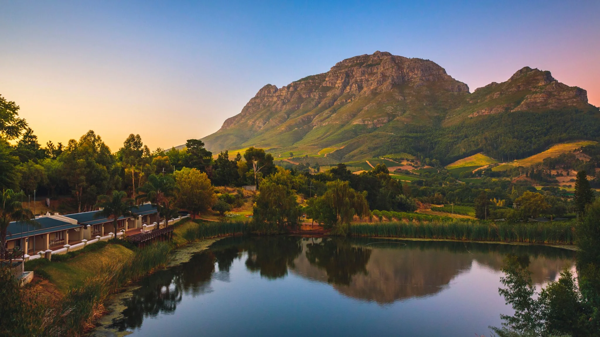 The Evolution of Winemaking in Cape Town