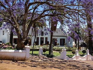 Diemersdal Wine Estate — Durbanville wine estate