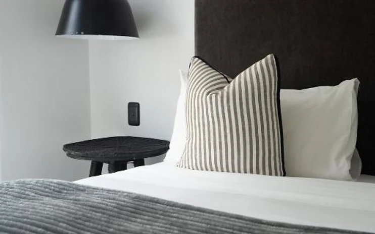 Plum Double Suite — photo 1