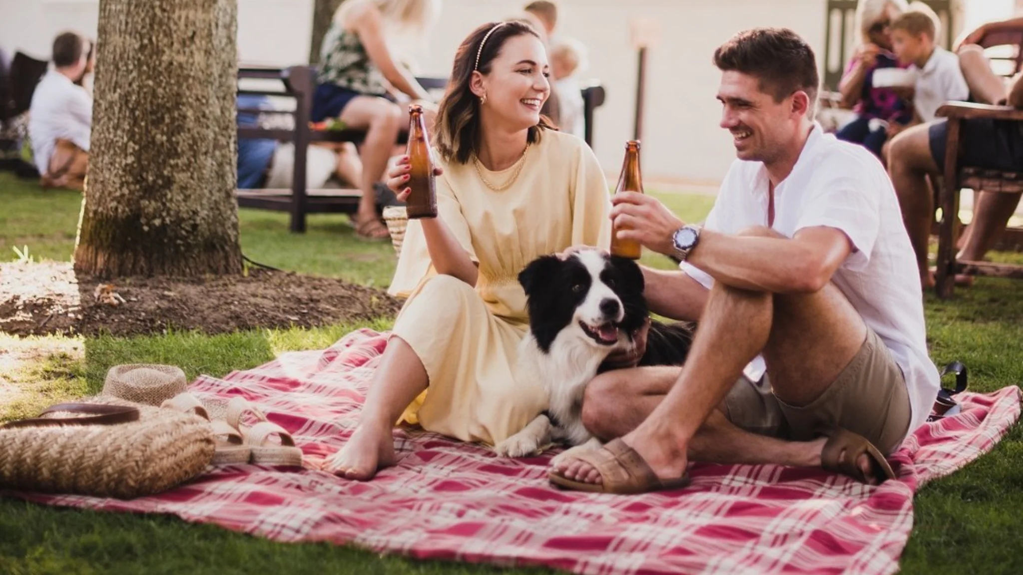 Summer Picnics at Boschendal