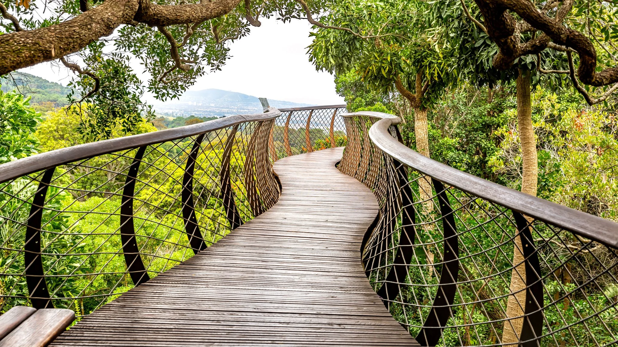 Best Things to Do in Cape Town