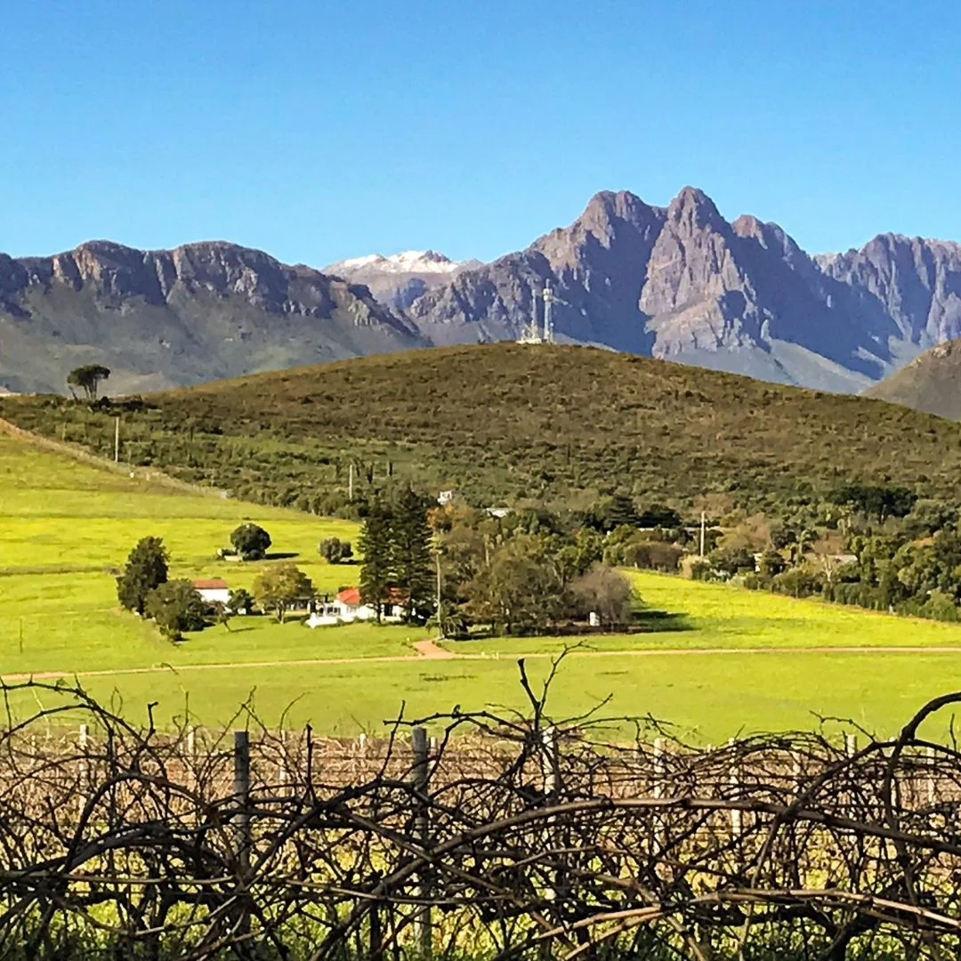 Middelvlei Cape Winelands Blending Workshops