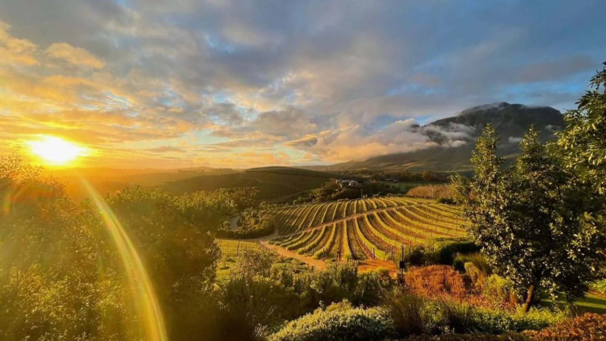 Delaire Graff Wins Award for the World’s Finest Wine Stay