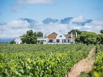 Windfall Wines – Weingut in Robertson