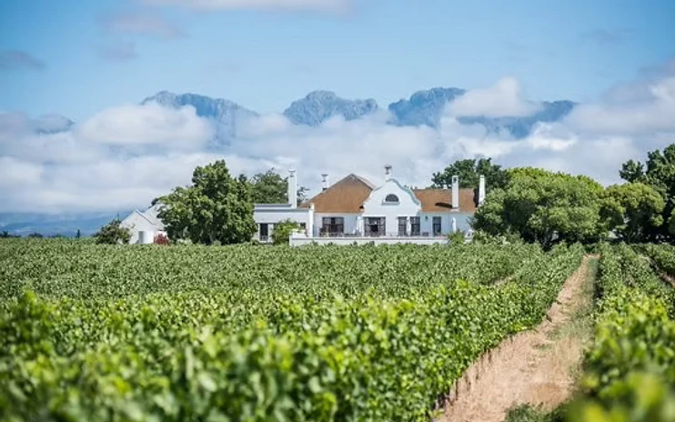 Windfall Wines