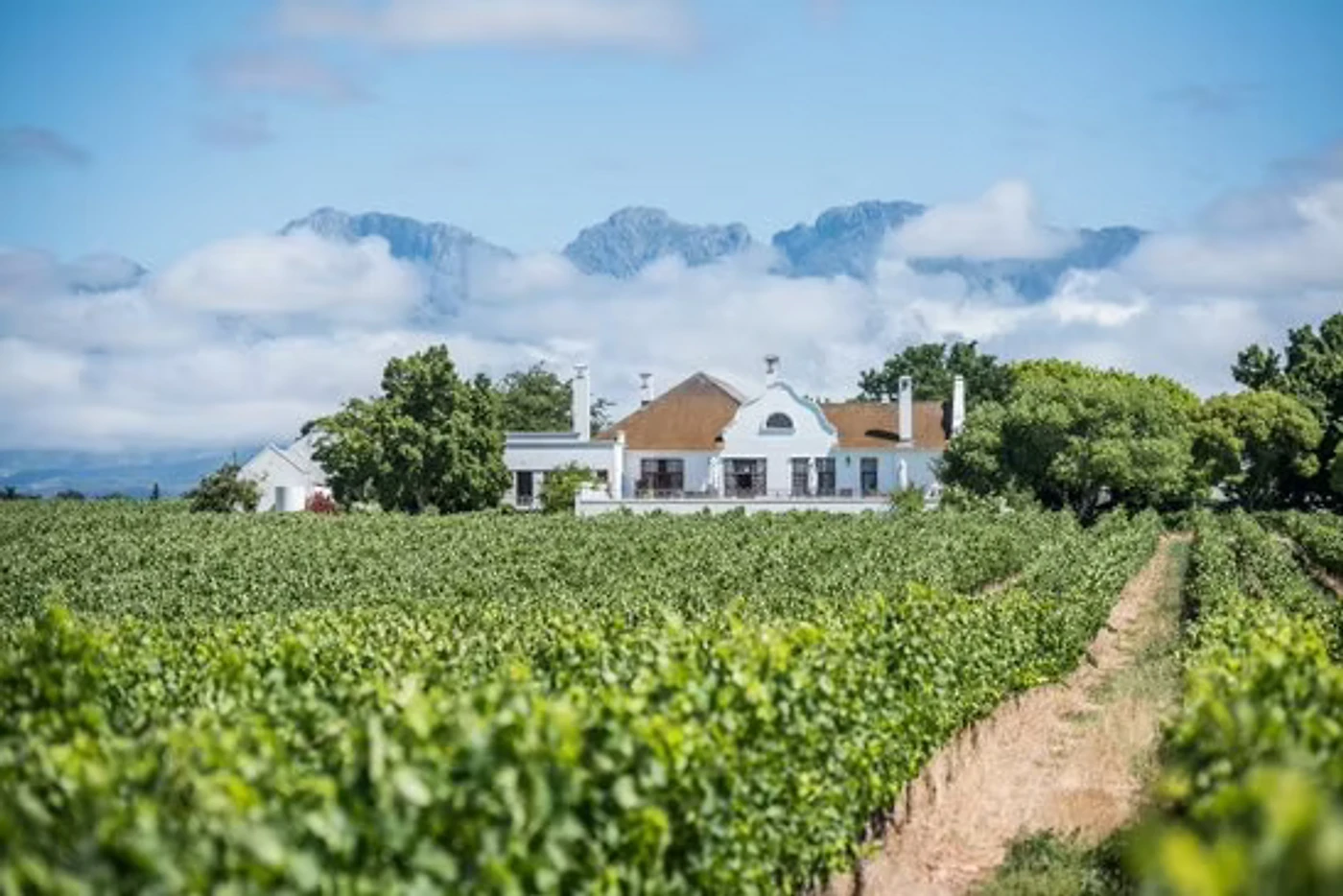 Windfall Wines — Robertson wine estate, Western Cape