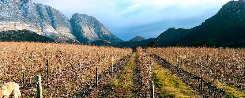 Accommodation in Garden Route