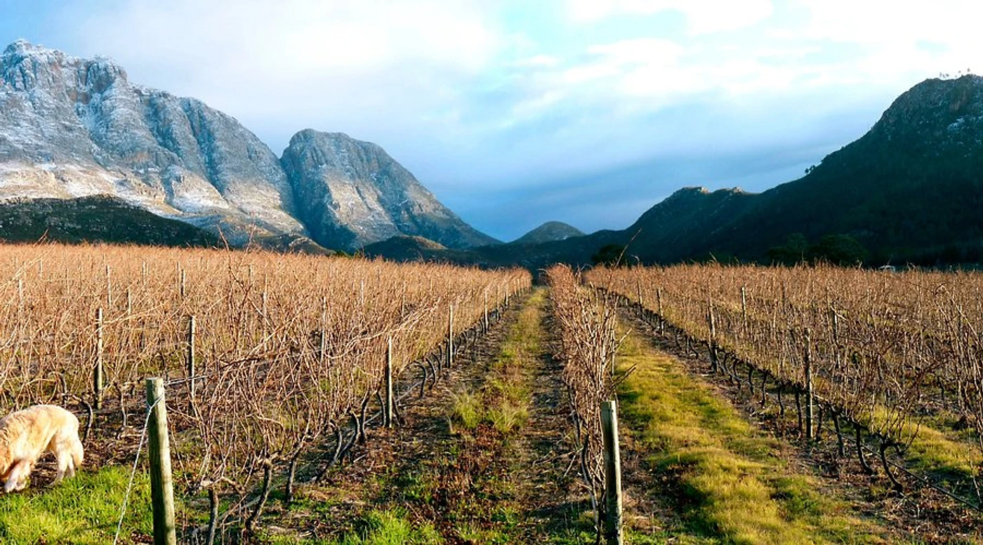 Herold Wines — Garden Route wine estate, Western Cape