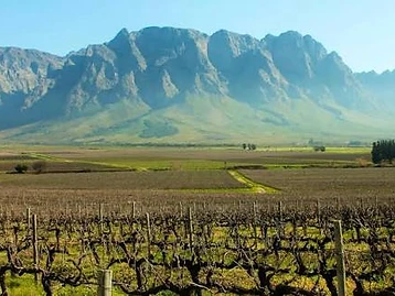 Breedekloof Wine Valley — Breede River Valley wine estate