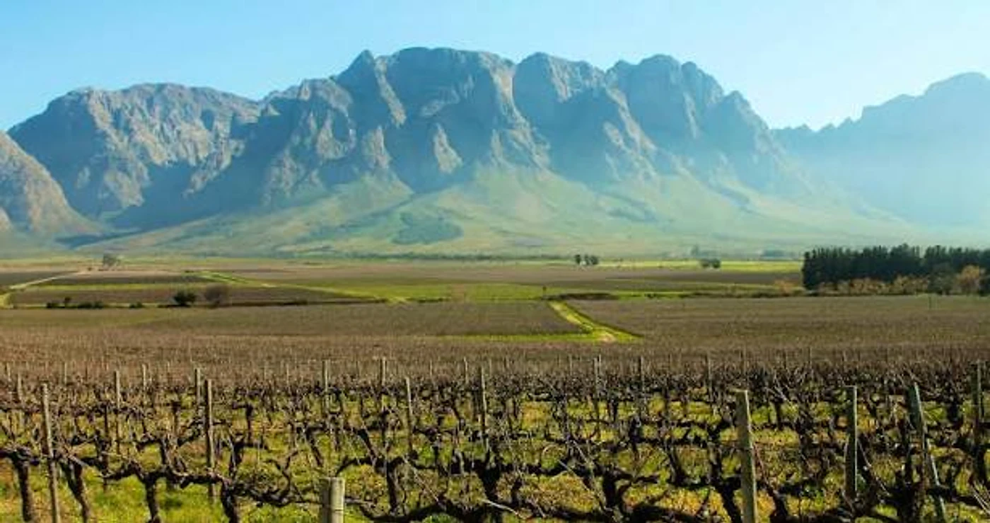 Breedekloof Wine Valley — Breede River Valley wine estate, Western Cape