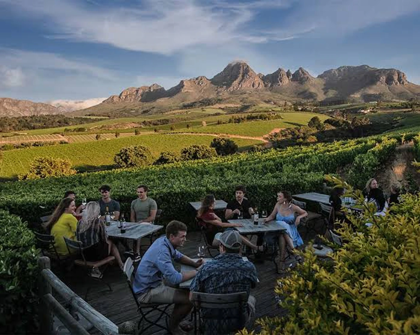 Guardian Peak — Stellenbosch wine estate, Western Cape