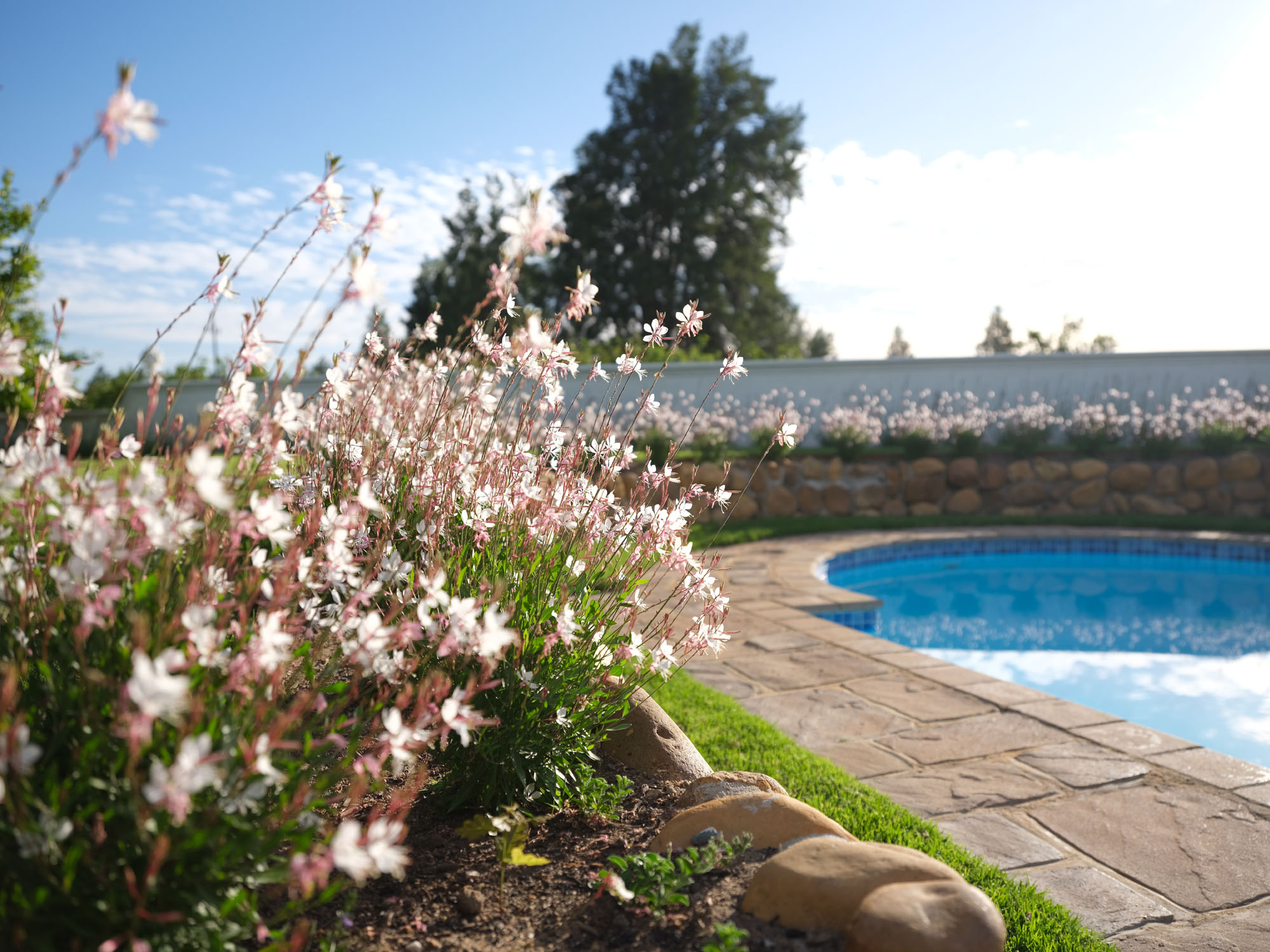 Orchard House — photo 1