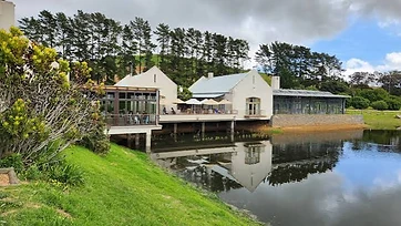 Nitida Wine Farm estate