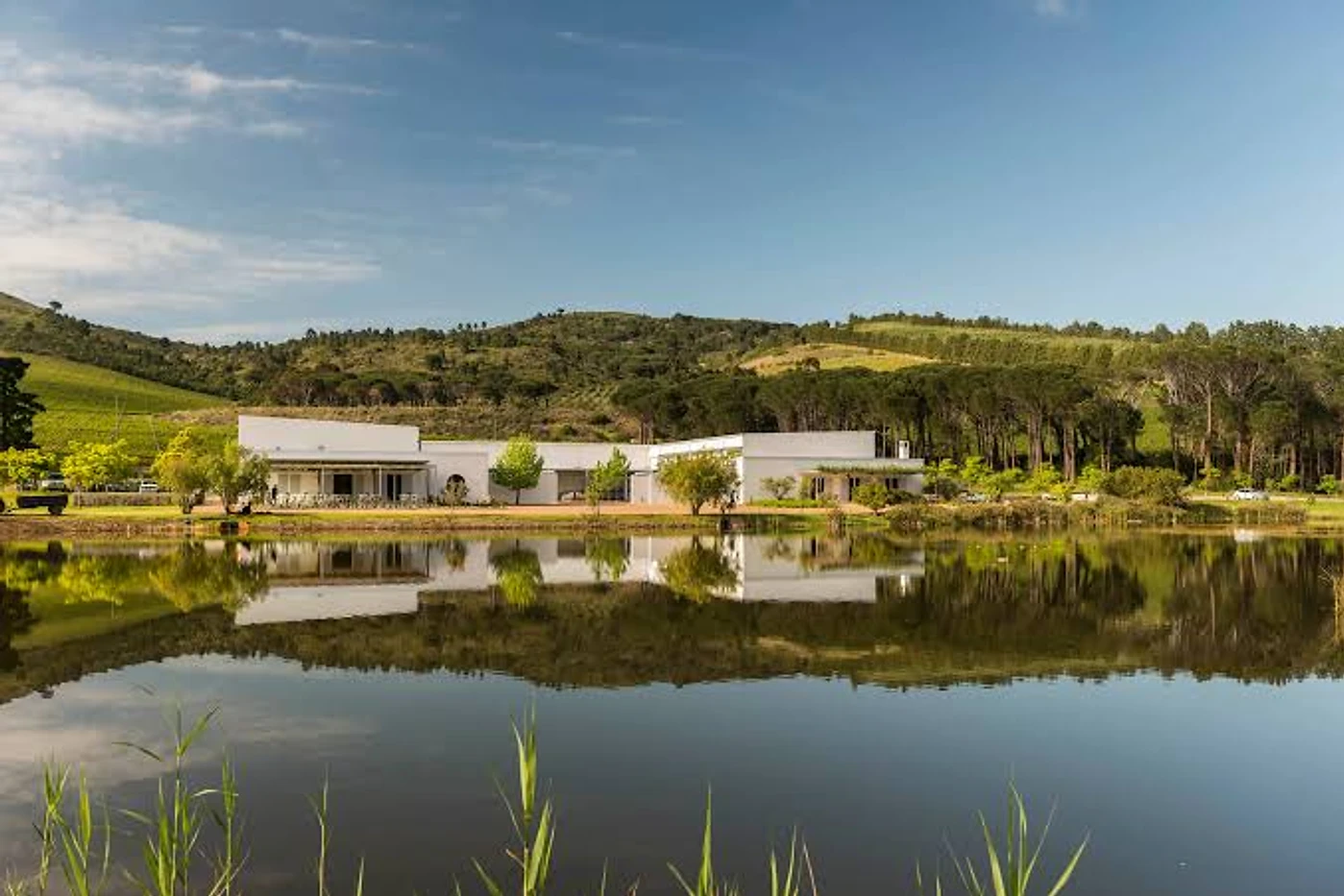 Morgenster Estate — Stellenbosch wine estate, Western Cape
