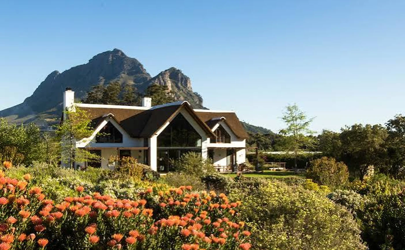 Oldenburg Vineyards — Stellenbosch wine estate, Western Cape