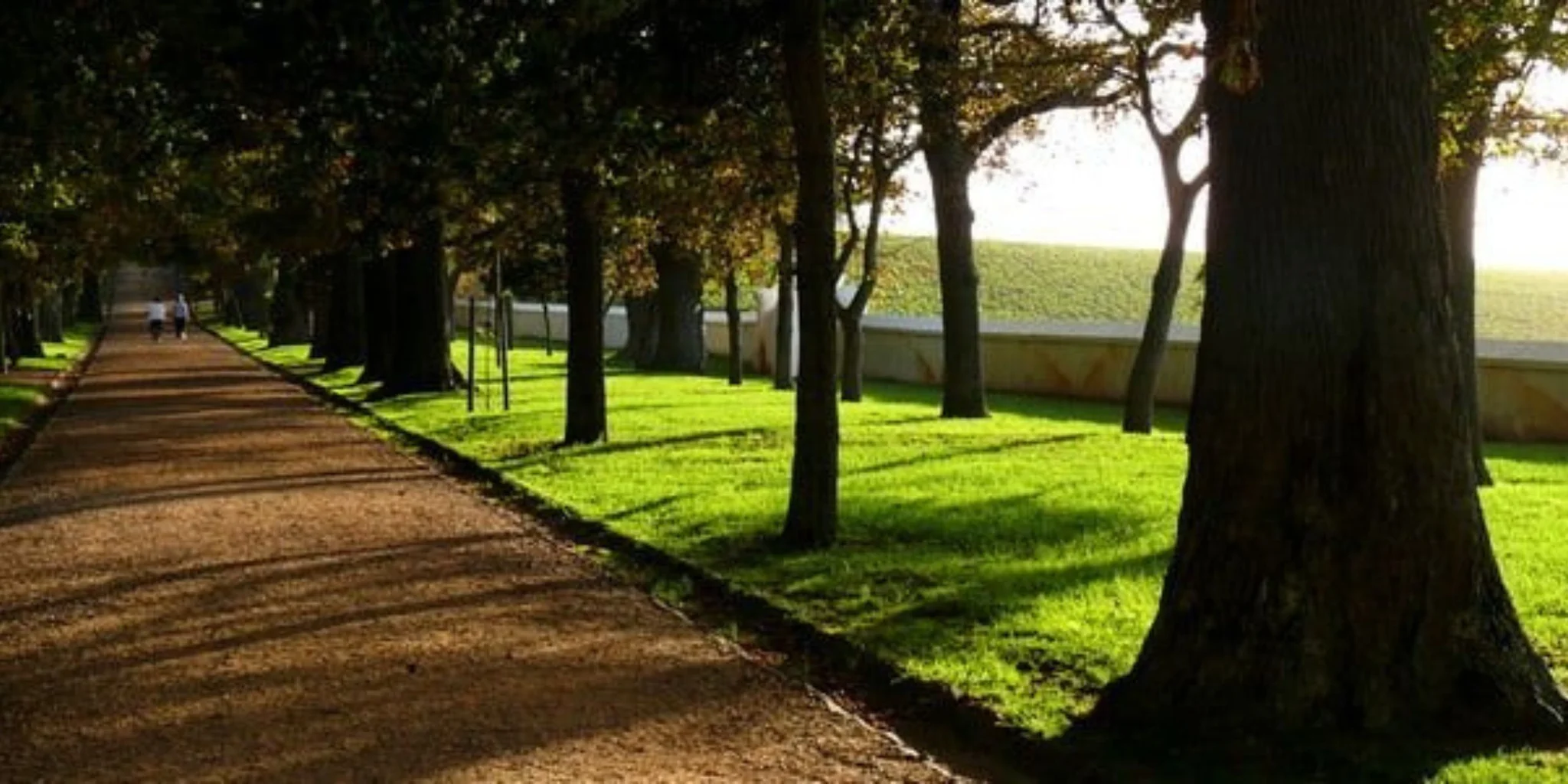 Cape Town's Oldest Wine Estates: Groot Constantia