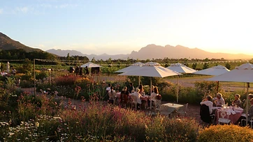 Avondale Wine Estate estate