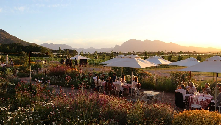 Avondale Wine Estate wine estate in Paarl
