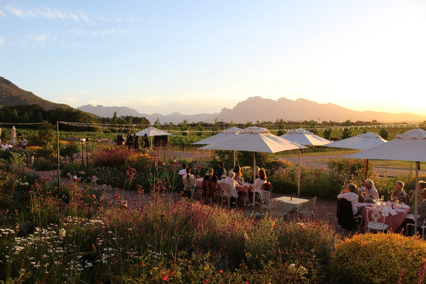 Avondale Wine Estate — Paarl wine estate, Western Cape