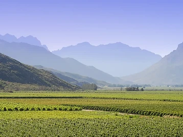 Slanghoek — Breede River Valley wine estate