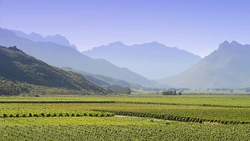 Slanghoek estate