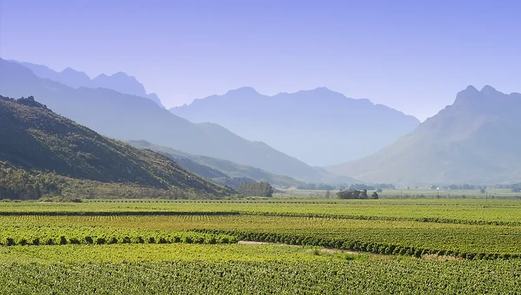 Slanghoek wine estate in Breede River Valley