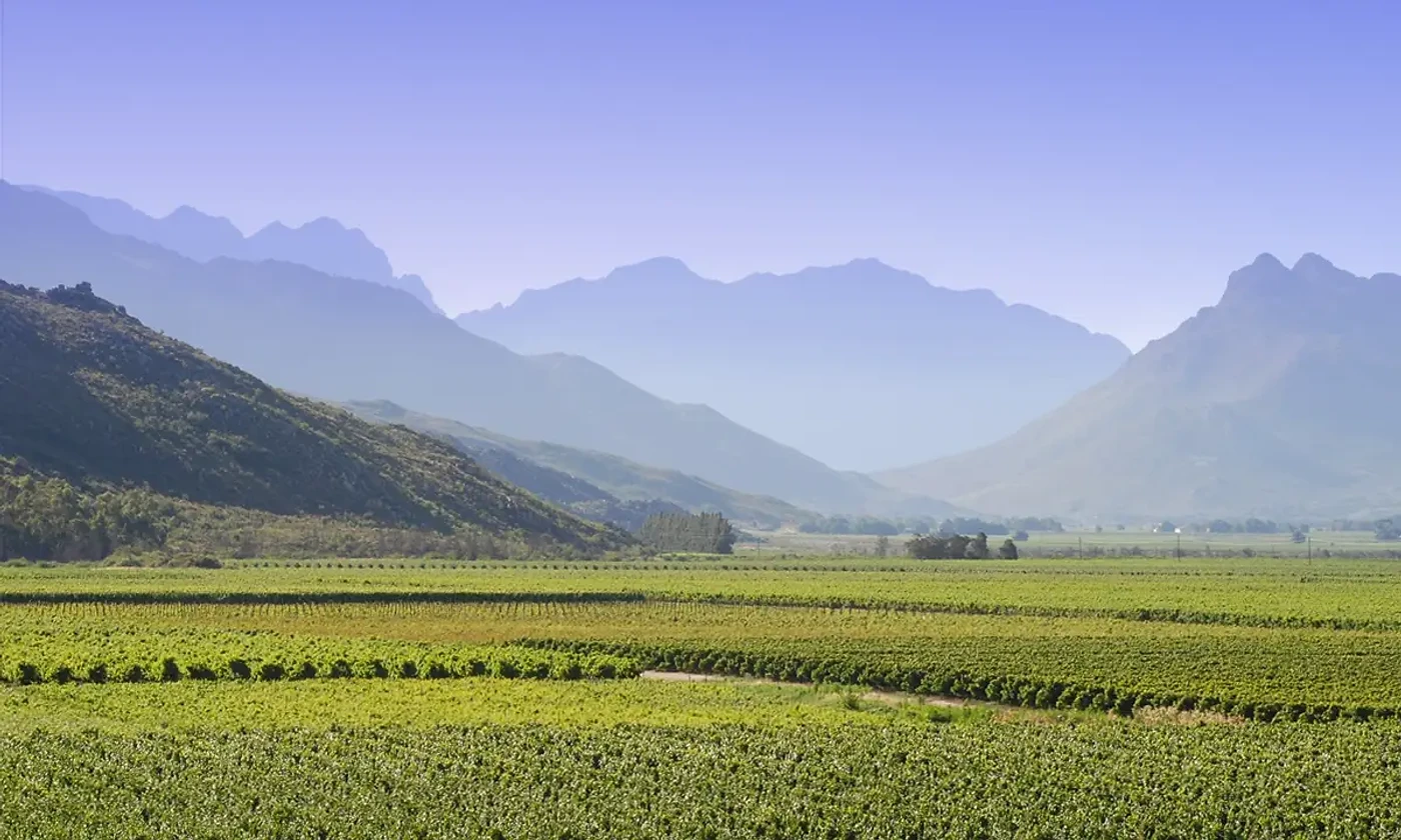 Slanghoek — Breede River Valley wine estate, Western Cape