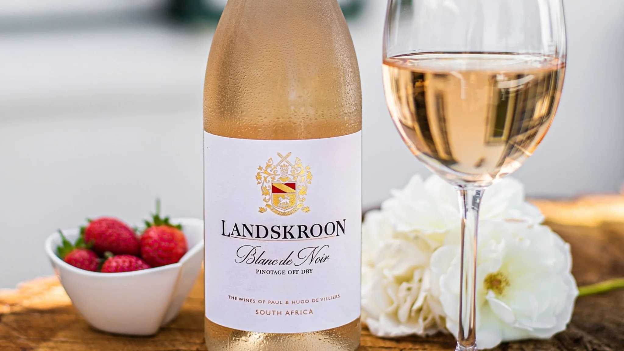 All About Rosé Wine in South Africa