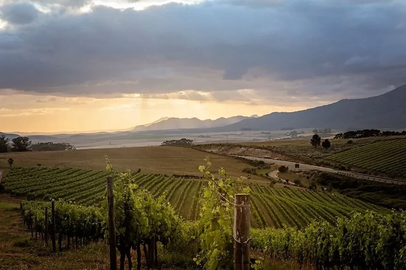 Domaine des Dieux — Hemel-en-Aarde wine estate, Western Cape