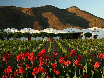 Van Loveren – Weingut in Robertson