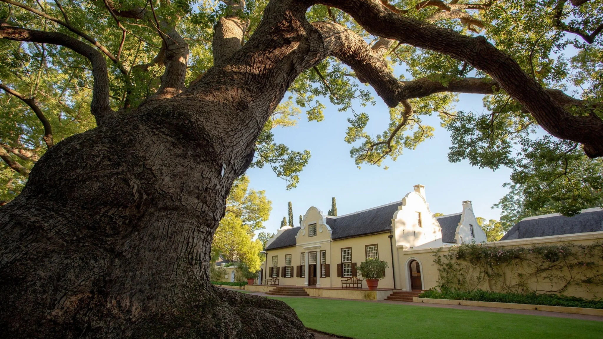 Christmas Festivities in the Cape Winelands