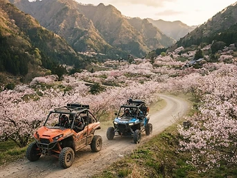 Rutas en buggy por el Valle del Jerte