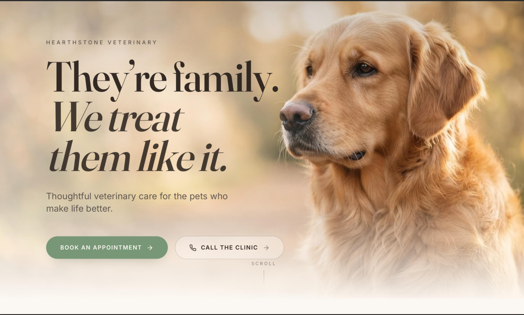 Veterinary Services website preview