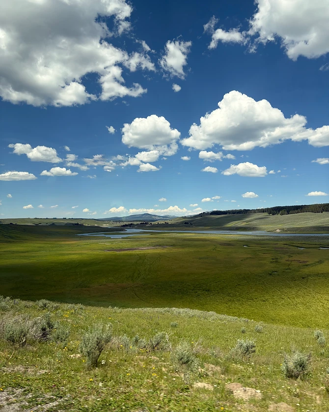 Expansive river valley meadow with distant mountains under a blue sky