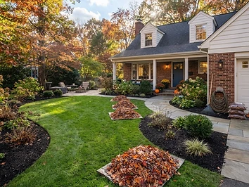 Yard Cleanup